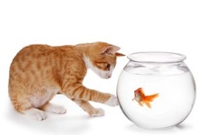 Real time interaction