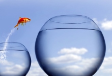 Cloud based chat platform