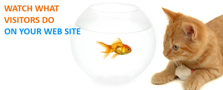 Watch what visitors do on your website